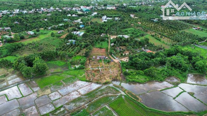 đất sào mát mẻ quanh năm view ruộng trung tâm Cư Suê khu dân cư đông đúc - 2