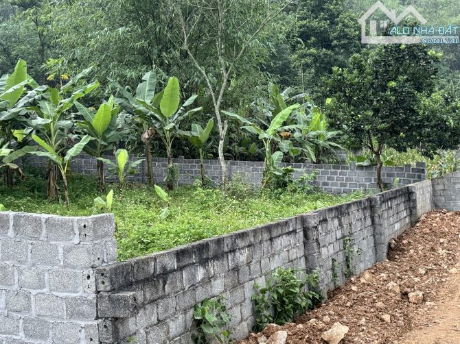 303m Full Đất Ở - Trước Mặt Dự Án Cáp Treo Sun Group Cuối Hạ - Kim Bôi - 2