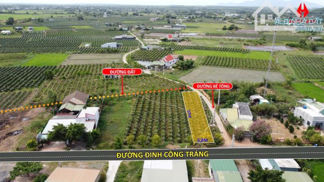 Bán Đất Siêu Đẹp Tại LaGi 578m2 có 111m2 Thổ Cư Gần Biển 3 Mặt Tiền Đường - 3