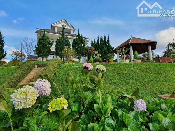 Căn villa view đỉnh rừng thông Hoàng Hoa Thám, P. 10, Đà Lạt - 3