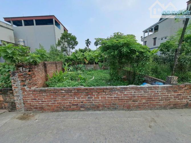 Lô góc siêu đẹp 58m²  Ô tô vào tận đất  Gần Võ Nguyên Giáp, Tiên Dương, Đông Anh - 3