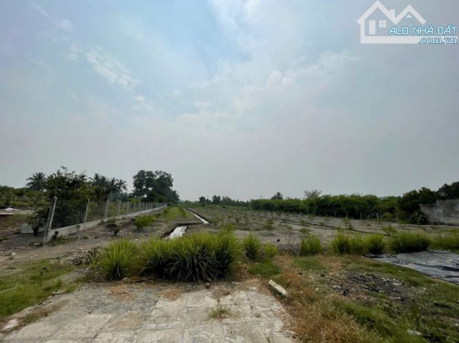 4123m2 đất lúa ấp 10, xã Lương Hòa, Bến Lức, Long An giá 2,9 tỷ - 3