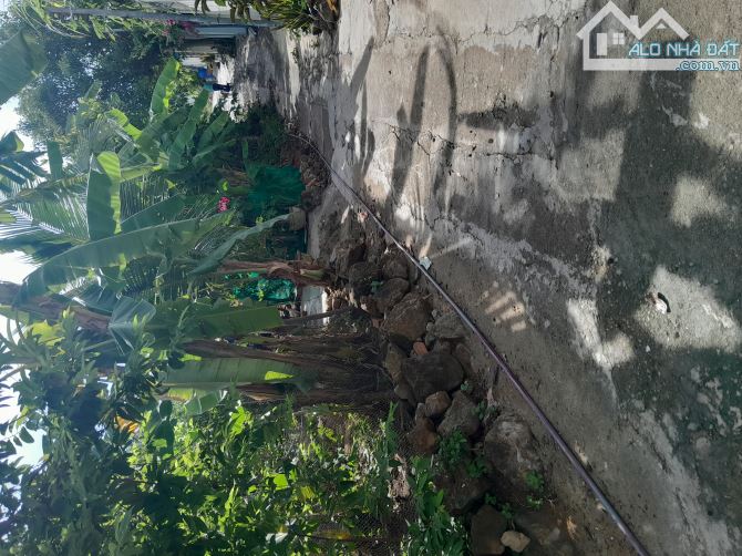 Bán 1200m2 - 3 tỷ - Hòn Nghê - Vĩnh Ngọc - Khánh hpag - 3