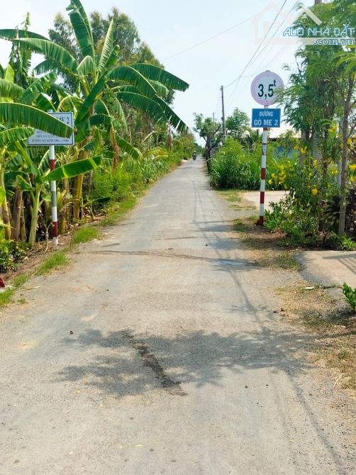 💎 Bán 2500m2 đất xây nhà vườn đường nhựa Xóm Đen, xã Bình Ân, Gò Công Đông - 3