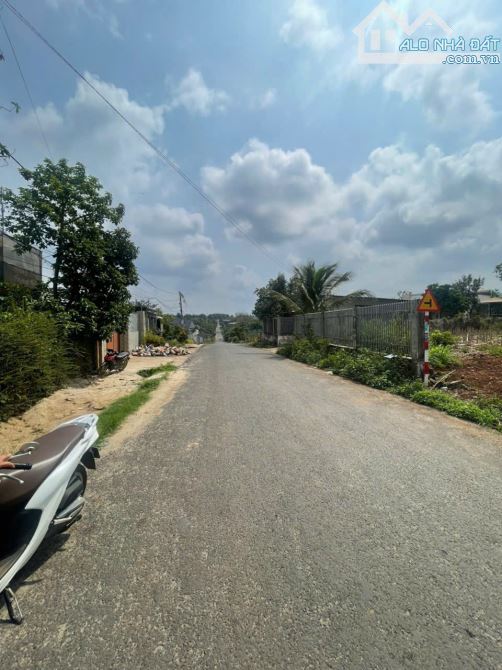 Cần Bán Nhanh 2 LÔ LIỀN KỀ ĐƯỜNG NHỰA (Đường Giải Phóng ) 30m PHƯỜNG BUÔN MA THUỘT - 3