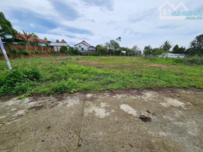 Bán đất Diên Đồng giá rẻ có thổ cư ngay sau lưng Uỷ Ban xã - 4