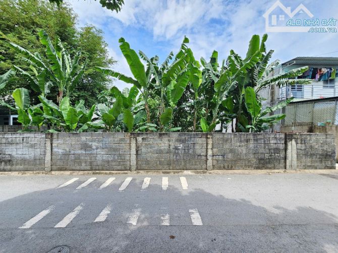 Đất gần chợ Tân Long, phường Tân Đông Hiệp, TP Dĩ An. 8 tỷ - 4