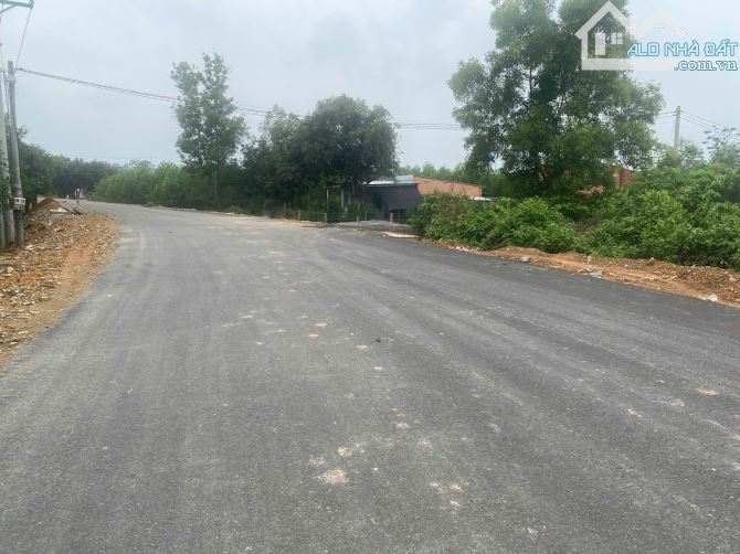 20m mặt tiền đường nhựa rộng 8m,có sẵn 100m2 thổ cư với 1486m2 chỉ với giá 1,9 tỷ - 4