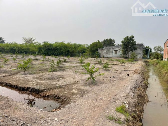 4123m2 đất lúa ấp 10, xã Lương Hòa, Bến Lức, Long An giá 2,9 tỷ - 4