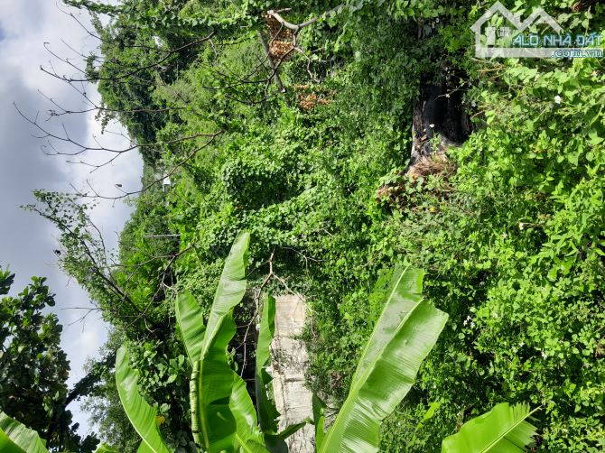 Bán 1200m2 - 3 tỷ - Hòn Nghê - Vĩnh Ngọc - Khánh hpag - 4
