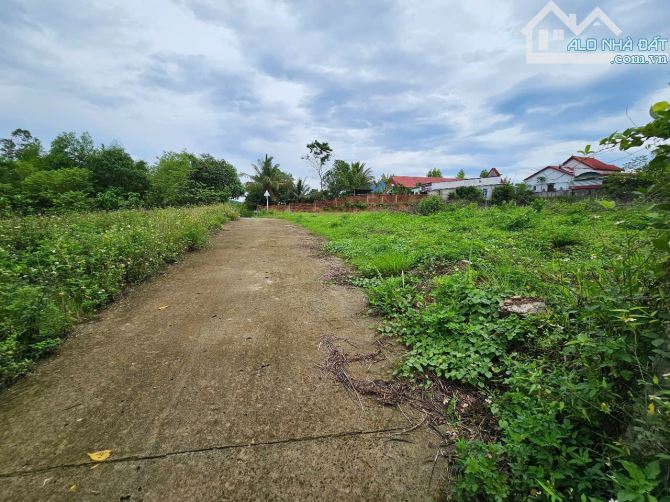 Bán đất Diên Đồng giá rẻ có thổ cư ngay sau lưng Uỷ Ban xã - 5