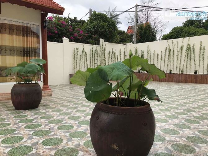 Bán biệt thự lê hồng phông p8 thành phố vũng tàu - 5