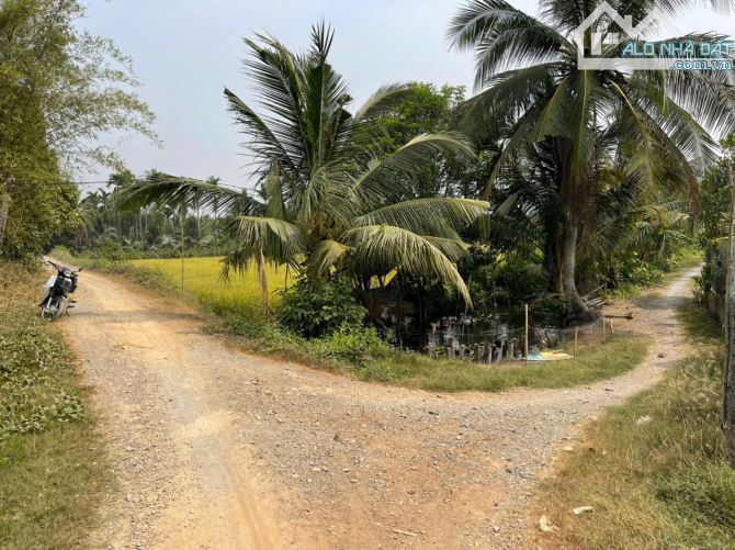 4123m2 đất lúa ấp 10, xã Lương Hòa, Bến Lức, Long An giá 2,9 tỷ - 5