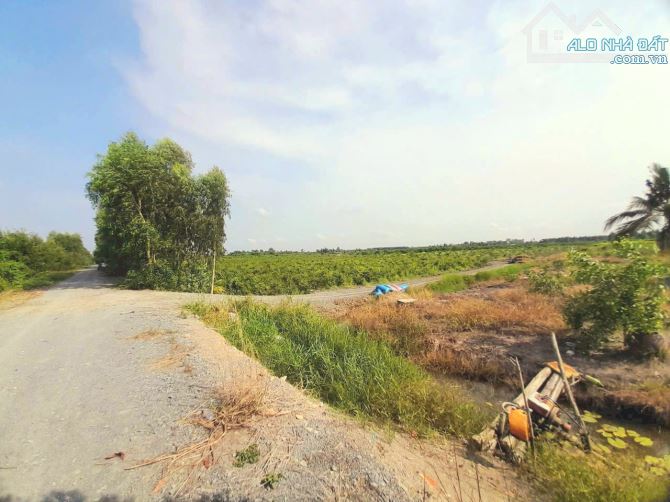 Quá thơm, chỉ 320tr sở hữu 500m2 đất vườn chanh - 5