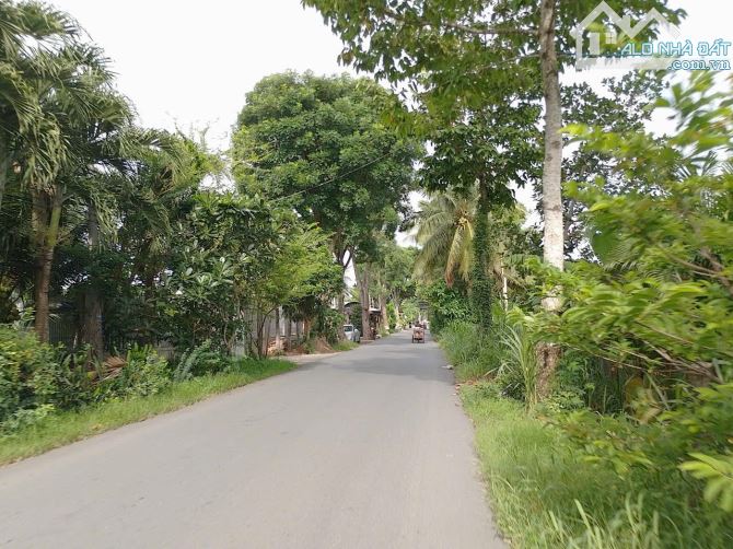 Bán 925M Đất+Biệt Thự Mặt Nhựa Huyện 89,Cách QL50 300m, xã Mỹ Phong,Mỹ Tho. - 6