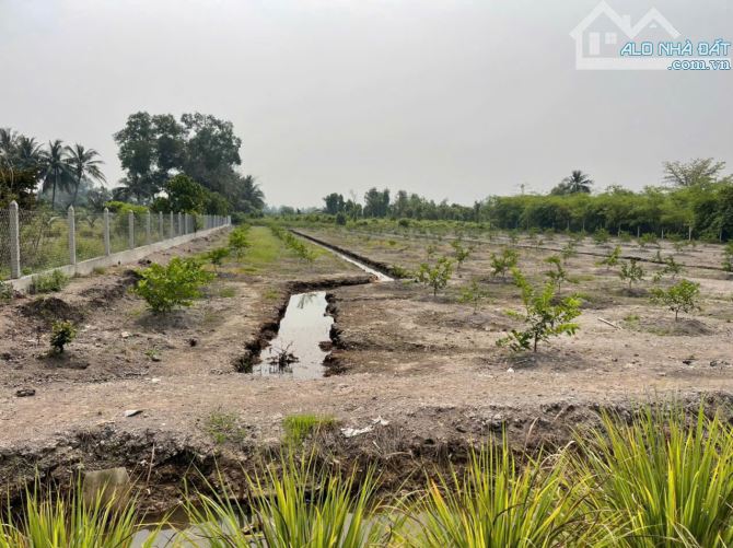 4123m2 đất lúa ấp 10, xã Lương Hòa, Bến Lức, Long An giá 2,9 tỷ - 6