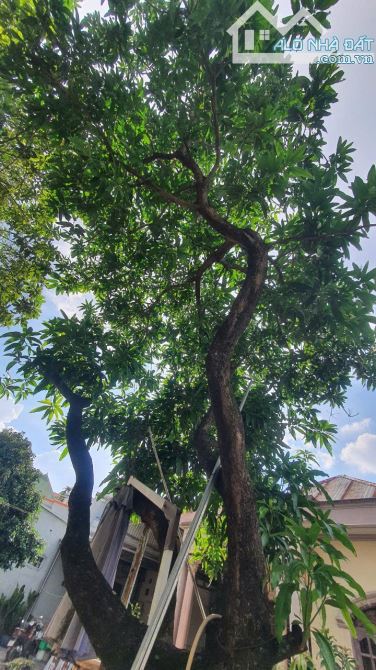 Bán Đất 1045m2 Thổ Cư 100% Gần Coopmart Phạm Văn Thuận, Biên Hòa,Đồng Nai Gía 28 tỷ - 6
