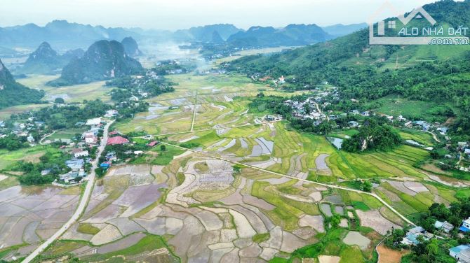 2962m Có 2159m Đất Ở - View Cánh Đồng Chỗ Dự Án Sun Gruop Cáp Treo Cuối Hạ - 6