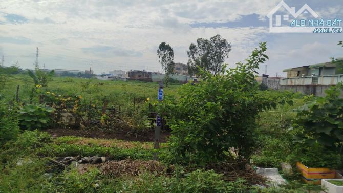BÁN GẤP ĐẤT ĐẸP CHÍNH CHỦ - 5.524M2 - PHAN VĂN ĐỐI - BÀ ĐIỂM - HÓC MÔN. GIÁ : 185 TỶ. - 7