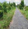 🔰 Bán nền: 160m² (5m x 32m, thổ 80m²) 🔰 Đường kênh 307, xã Thanh Mỹ, H Tháp Mười.