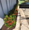 MTKD khan hiếm! DT: 4m x 10m, 2 mặt tiền, trệt 3 lầu, MT Hoàng Sa P. 5 Q. TB, giá chỉ 12,3