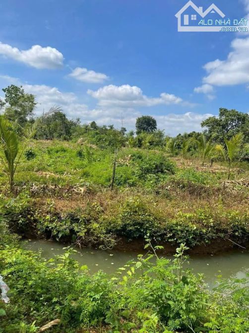 đất sào mát mẻ quanh năm view ruộng trung tâm Cư Suê khu dân cư đông đúc - 3