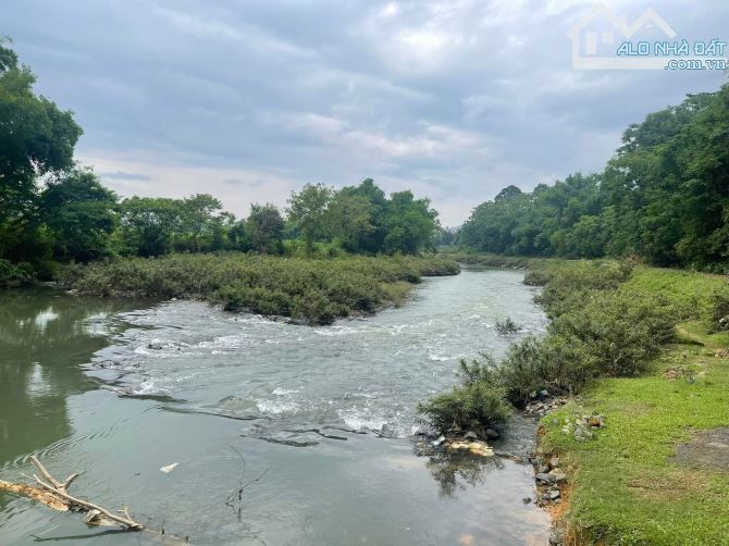 Cần bán lô đất bám sông bôi 60m tuyệt đẹp đất cây lâu năm diện tích 2000m