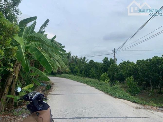Bán đất 1.200  m2 rạch Ngã Bát đường Trương Vĩnh Nguyên