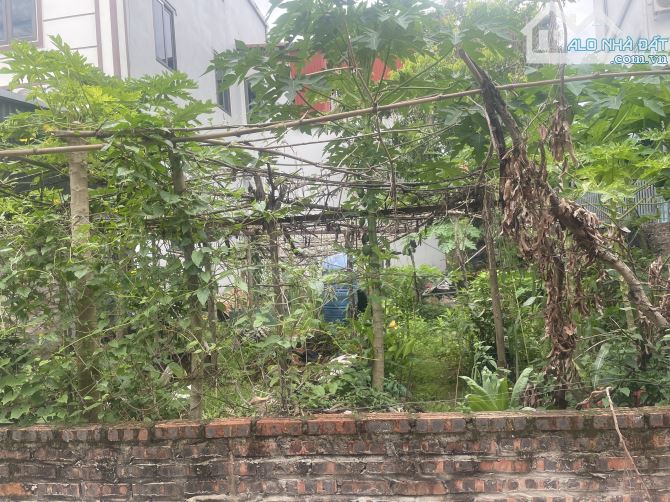 🌟 BÁN LÔ GÓC 2 MẶT THOÁNG – TRUNG TÂM HẢI BỐI, ĐÔNG ANH – 85M² – CHỈ NHỈNH 5 TỶ! 🏡