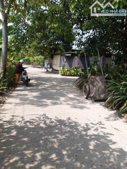 ĐẤT BÀU QUÁNH THÔN 7 THỦY PHÙ, HƯƠNG THỦY - 201.3M2 - 4TRM2