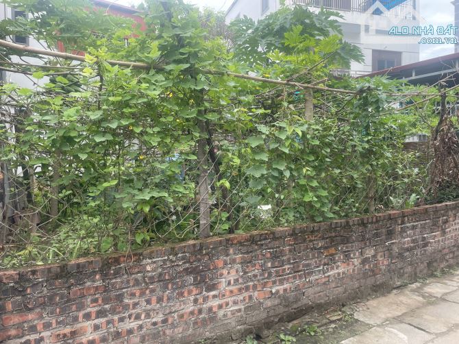 🌟 BÁN LÔ ĐẤT ĐẸP –TRUNG TÂM HẢI BỐI, ĐÔNG ANH – 82M² – CHỈ HƠN 5 TỶ! 🏡