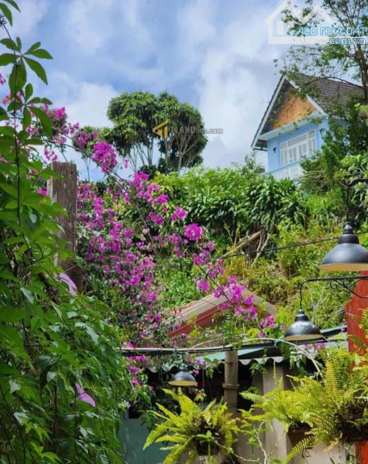 🌿 Nhà Đậm Chất Đà Lạt – 3 Căn Riêng – Gần Trung Tâm – Chỉ 5.2 Tỷ 🌿