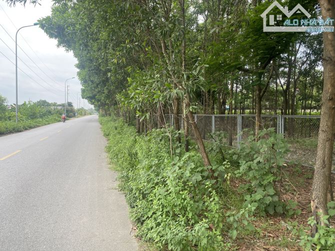 CẦU NHẬT TÂN cách hơn 2km phân lô vuông đẹp mặt tiền rộng chỉ hơn 3 tỷ