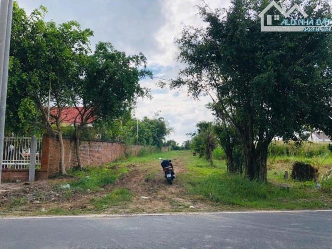 Bán 3.269m2 đất 2 mặt tiền Trương Vĩnh Nguyên, đoạn cầu Ông Tim, lộ 20m, Đông Bắc, sổ hồng