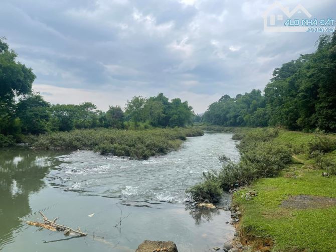 Cần bán lô đất bám sông bôi 60m tuyệt đẹp đất cây lâu năm diện tích 2000m - 1