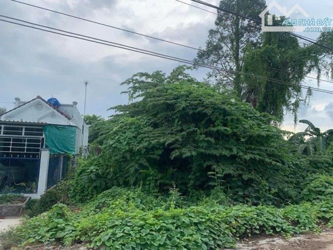 Bán đất 1.200  m2 rạch Ngã Bát đường Trương Vĩnh Nguyên - 1