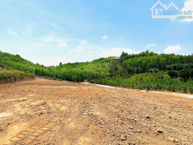 💥315triệu - Lock 9 lô Full Thổ cư Khánh Phú liền kề đường liên vùng, cạnh KCN Sông Cầu💥 - 1