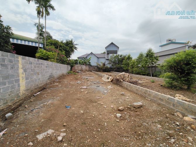 2,X TỶ CÓ 160M ĐẤT THỊ TRẤN DG NHỰA ÁP PHAN VIEW CÁNH ĐỒNG - 1