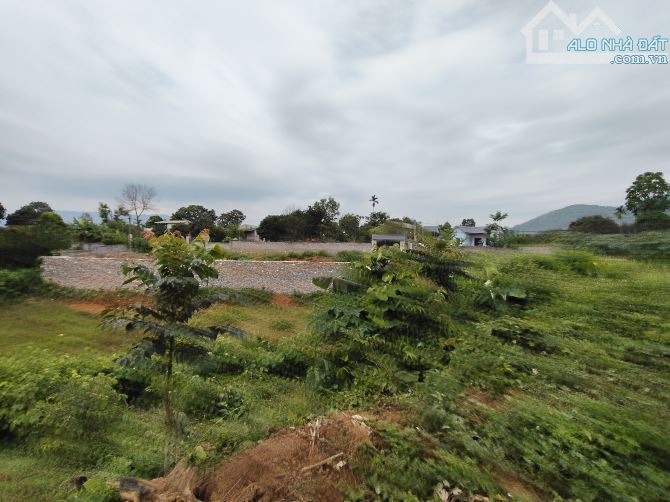 Cần bán 2500 m đất đồi nghỉ dưỡng tại thị trấn Lương Sơn  nhỉnh 10tỷ - 1