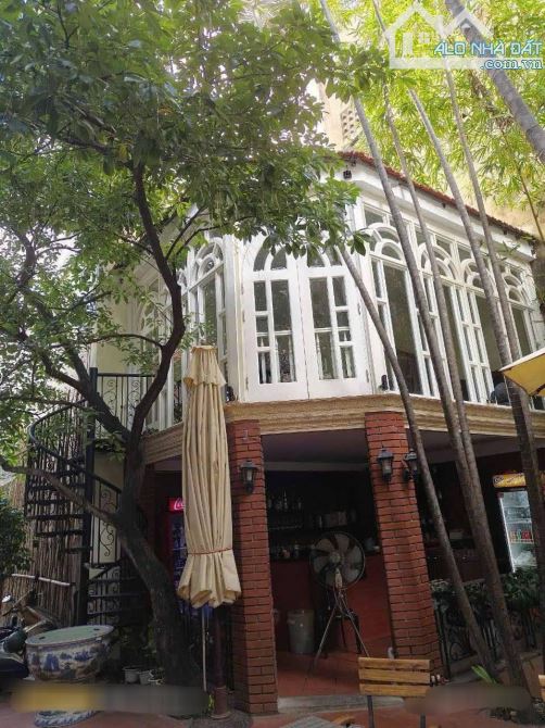 Bán biệt thự 3 tầng phố Cát Linh, hợp xây văn phòng, khách sạn 500m2, mt 10, chỉ 244 tỷ. - 1