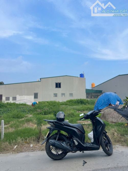 Bán gấp đất nền Hoàng Gia, Cẩm Vũ, Cẩm Giàng, Hải Dương, 2,1 tỷ, 87 m2 - 1