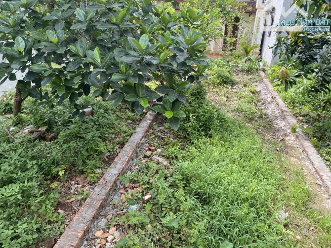 BÁN ĐẤT HỮU LÊ- THANH TRÌ. NGÕ THÔNG- RỘNG- VF3 VÀO NHÀ. - 1