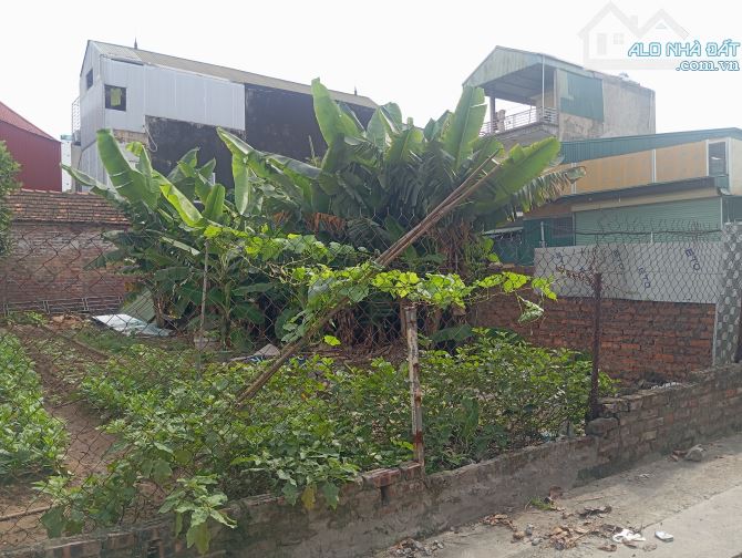 Mảnh Đất Đẹp Hiếm người Bán MT khủng Đầu Tư hay ở tuyệt vời Bắc Hồng Đông Anh Hà Nội - 1