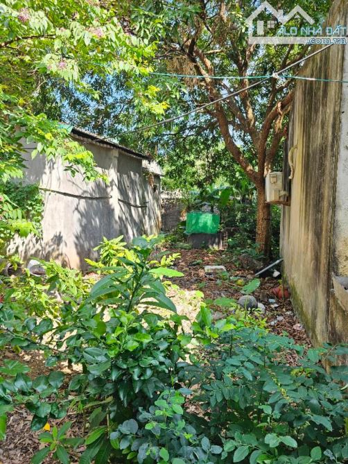 Bán đất phố Thúy Lĩnh ô tô đỗ cửa diện tích 75m², mặt tiền 4.6m chỉ 7,7 tỷ - 2