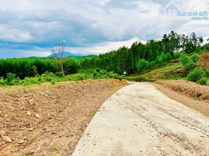 💥315triệu - Lock 9 lô Full Thổ cư Khánh Phú liền kề đường liên vùng, cạnh KCN Sông Cầu💥 - 2