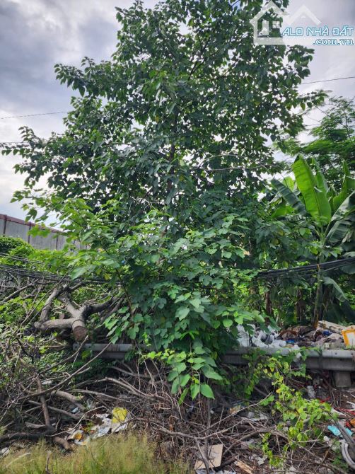 BÁN LÔ ĐẤT MẶT ĐƯỜNG NGUYỄN BỈNH KHIÊM - ĐÔNG HẢI 2 - HẢI AN  -DIỆN TÍCH :80m (ngang 4m) - 2