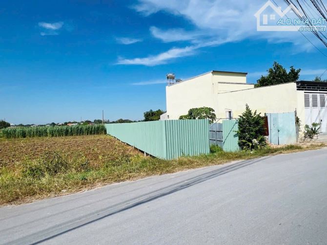 kẹt tiền bán gấp đất mặt tiền đường nhựa út cứu mỹ hạnh bắc 2tỷ ngộp nặng - 2