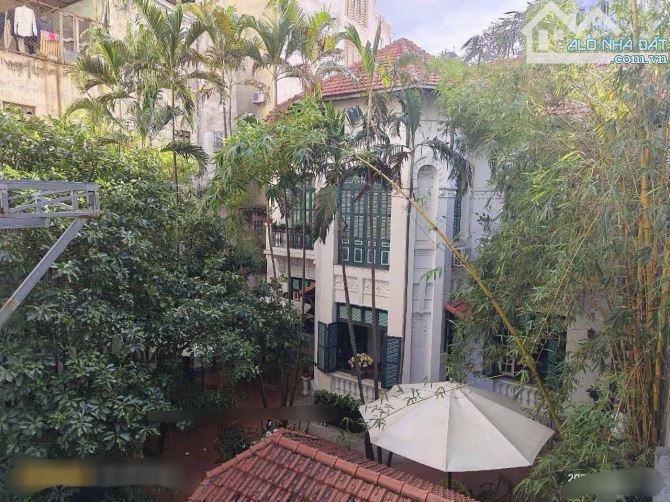 Bán biệt thự 3 tầng phố Cát Linh, hợp xây văn phòng, khách sạn 500m2, mt 10, chỉ 244 tỷ. - 2