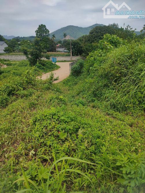 BÁN ĐẤT NGHỈ DƯỠNG VIEW CAO THOÁNG 2497M2 120TC Ở TT LƯƠNG SƠN, HÒA BÌNH - 2
