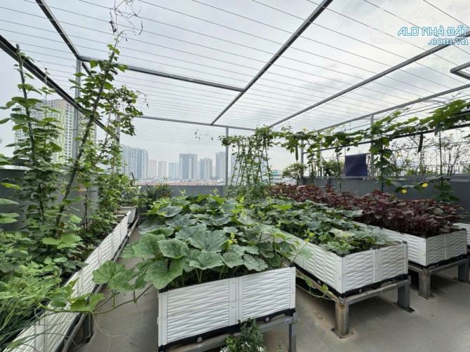 Bán nhà 7 tầng thang máy đường Nguyễn Văn Lộc, Mỗ Lao, 76m², MT 6.55m, full nội thất xịn - 2